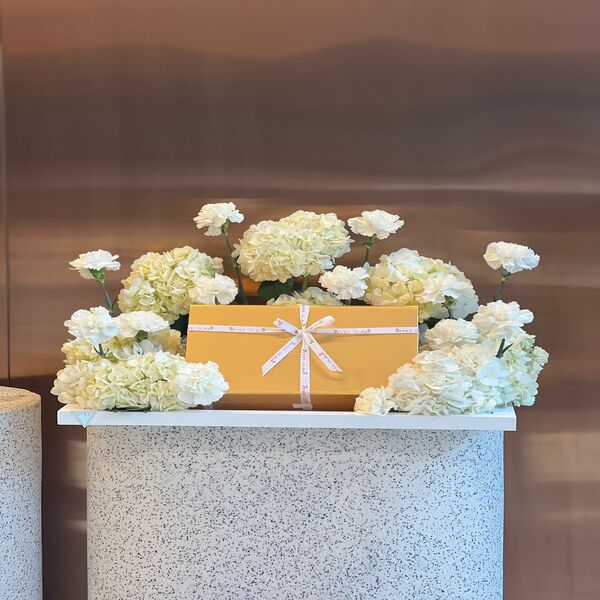 9a90896c_WhatsApp Image 2025-11-25 at 11.10.46_a00e6d05.jpg